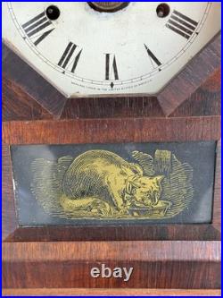 1863 Seth Thomas OCTOGON ARCH TOP Rosewood Mantle Clock VIDEO CAT MOTIF DOOR