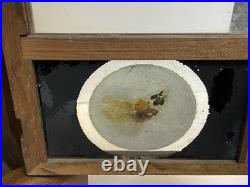 Antique Seth Thomas Ogee Mantel Clock Working Strike Reverse Bird Glass Key USA